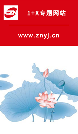 中南药机1+X专题网站